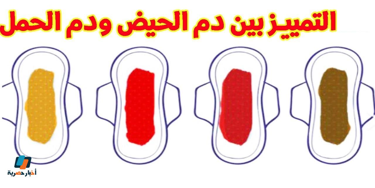 شكل دم الحمل بالصور